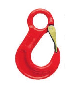 Cartec G80 Eye Sling Hook c/w Latch - CA-F